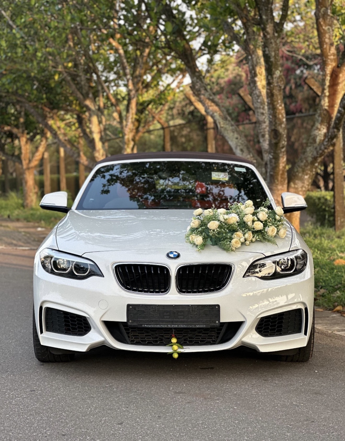 Wedding car photo 3